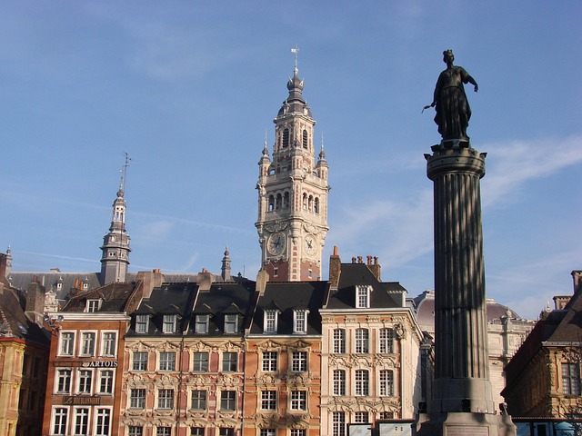 Immobilier-Lille