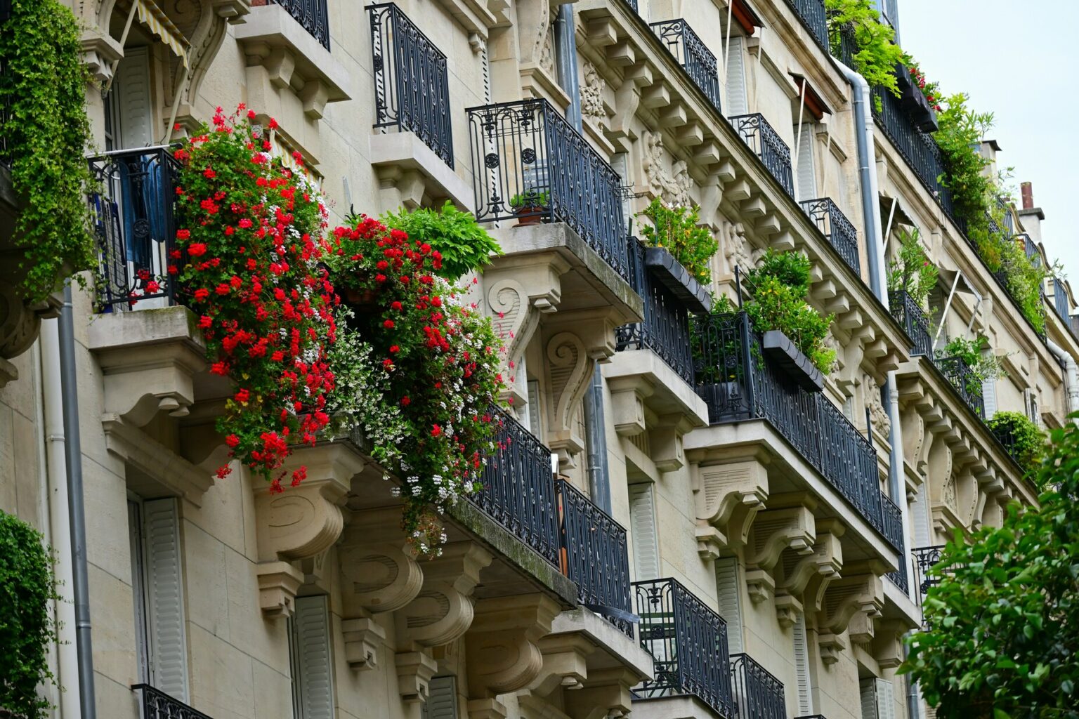 Meilleure agence immobilière à Montpellier, Quadrimm