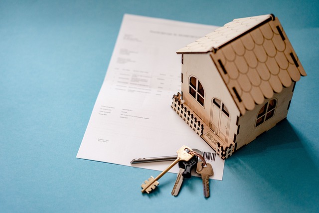 investissement locatif